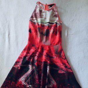 Ted Baker "Road to Nowhere" Dress